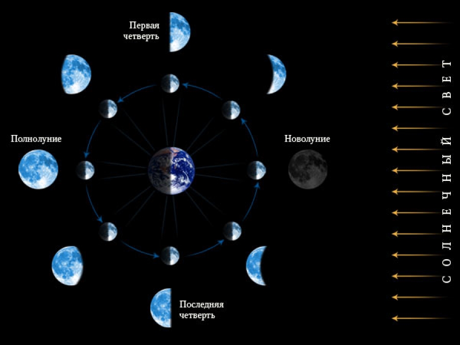 Лунные дни. Качества, свойства и значения лунных суток.