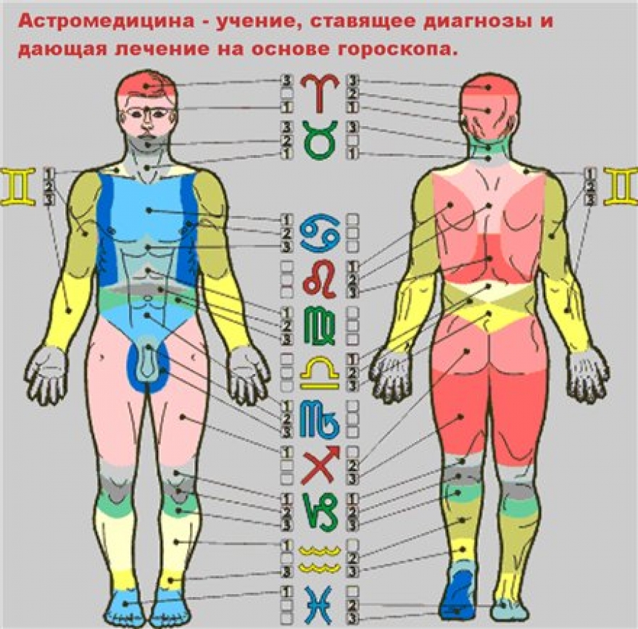 Астрология и медицина. Соответствия знаков зодиака с органами.