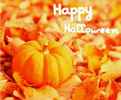 Ритуалы и обряды на Хэллоуин (31 октября 2014)